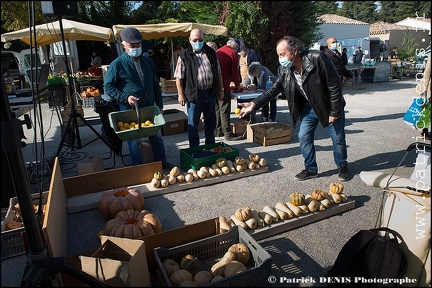 Fete courge - Petit palais IMG 2641 Photo Patrick DENIS