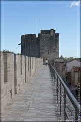 Aigues Mortes IMG 2710 Photo Patrick DENIS