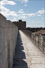 Aigues Mortes IMG 2725 Photo Patrick DENIS