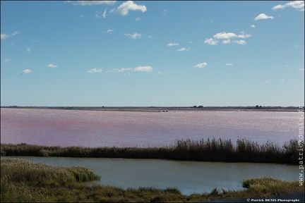 Aigues Mortes IMG 2730 Photo Patrick DENIS