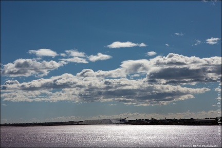 Aigues Mortes IMG 2734 Photo Patrick DENIS