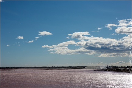 Aigues Mortes IMG 2746 Photo Patrick DENIS