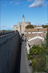 Aigues Mortes IMG 2761 Photo Patrick DENIS