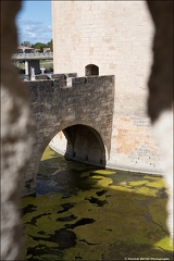 Aigues Mortes IMG 2700 Photo Patrick DENIS