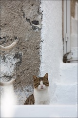 Santorin IMG 8248 Photo Patrick DENIS