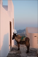 Santorin IMG 8287 Photo Patrick DENIS