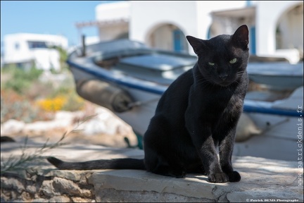 Paros IMG 6458 Photo Patrick DENIS