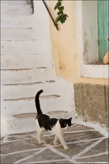 Paros IMG 6990 Photo Patrick DENIS