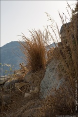 Serifos IMG 6024 Photo Patrick DENIS