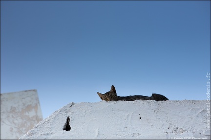 Serifos IMG 6099 Photo Patrick DENIS