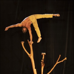 Antoine Prost - Cie Courcirkoui @ Place(s) au cirque, Apt | 07.05.2023