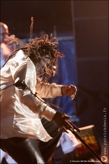 Winston McAnuff - Garance Reggae Festival IMG 1821 Photo Patrick DENIS