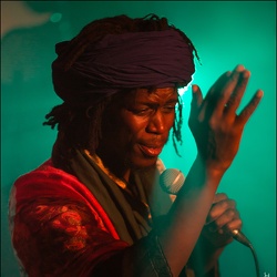Joe Pilgrim and the Ligerians @ Akwaba, Chateauneuf de Gadagne | 26.03.2016