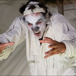 Typhus Bronx - Le Delirium du Papillon @ Font'Arts, Pernes les Fontaines | 03.08.2024