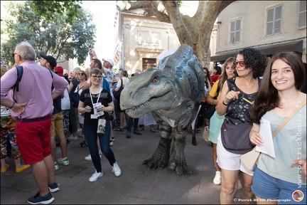 Parade OFF IMG 6426 Photo Patrick DENIS