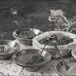 Marché flottant @ Isle sur la sorgue | 08.2002