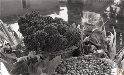 Marché flottant 01002- 19 Photo Patrick DENIS