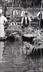 Marché flottant 02801- 22 Photo Patrick DENIS