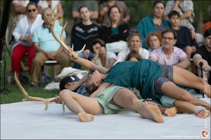 Faune - Cie Libertivore IMG 4581 Photo Patrick DENIS