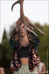 Faune - Cie Libertivore IMG 5117 Photo Patrick DENIS