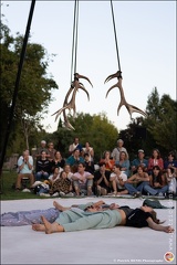 Faune - Cie Libertivore IMG 5296 Photo Patrick DENIS