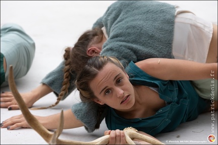 Faune - Cie Libertivore IMG 5433 Photo Patrick DENIS