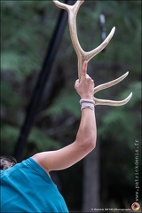 Faune - Cie Libertivore IMG 5455 Photo Patrick DENIS