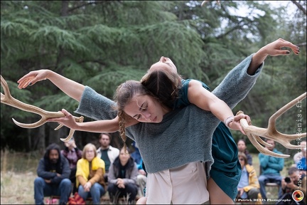 Faune - Cie Libertivore IMG 5464 Photo Patrick DENIS