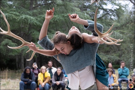 Faune - Cie Libertivore IMG 5465 Photo Patrick DENIS