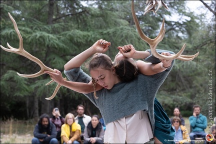 Faune - Cie Libertivore IMG 5466 Photo Patrick DENIS