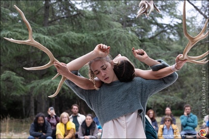 Faune - Cie Libertivore IMG 5467 Photo Patrick DENIS