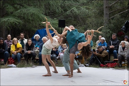 Faune - Cie Libertivore IMG 5501 Photo Patrick DENIS