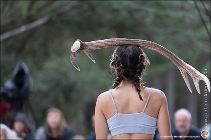 Faune - Cie Libertivore IMG 5764 Photo Patrick DENIS