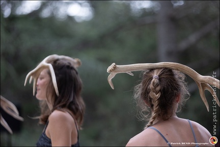 Faune - Cie Libertivore IMG 5765 Photo Patrick DENIS