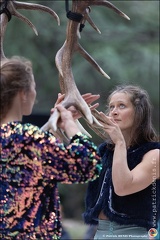 Faune - Cie Libertivore IMG 5809 Photo Patrick DENIS