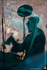 Nora Kamm IMG 9796 Photo Patrick DENIS