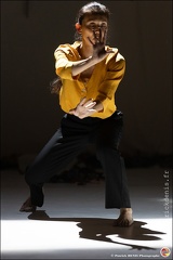 De loin si près IMG 8040 Photo Patrick DENIS