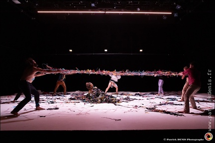 De loin si près IMG 8654 Photo Patrick DENIS