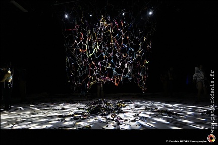 De loin si près IMG 8723 Photo Patrick DENIS