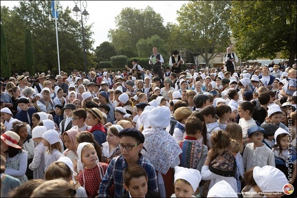 Pernes - Fete du patrimoine 008 IMG 9959 Photo DP