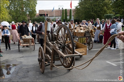 Pernes - Fete du patrimoine 047 IMG 0071 Photo DP