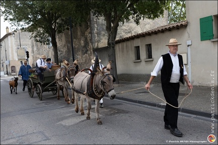 Pernes - Fete du patrimoine 052 IMG 0076 Photo DP