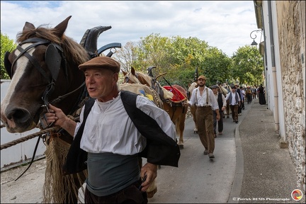 Pernes - Fete du patrimoine 057 IMG 0088 Photo DP