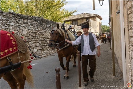 Pernes - Fete du patrimoine 059 IMG 0090 Photo DP