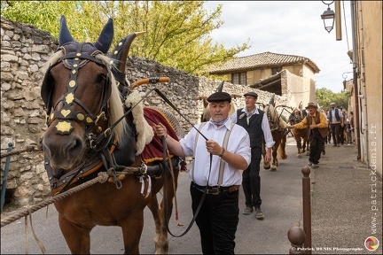 Pernes - Fete du patrimoine 060 IMG 0092 Photo DP