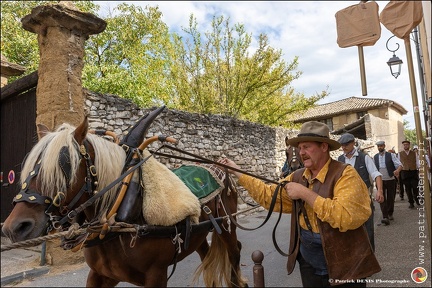 Pernes - Fete du patrimoine 061 IMG 0095 Photo DP