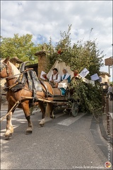 Pernes - Fete du patrimoine 062 IMG 0106 Photo DP