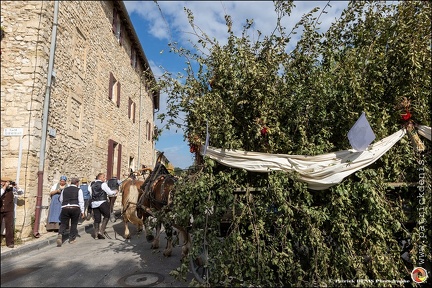 Pernes - Fete du patrimoine 063 IMG 0110 Photo DP