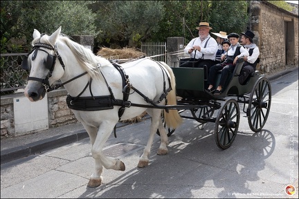 Pernes - Fete du patrimoine 066 IMG 0121 Photo DP