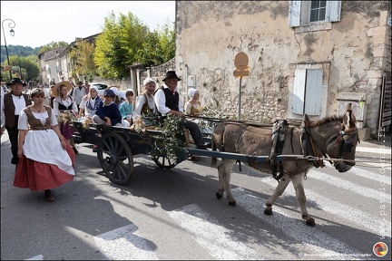 Pernes - Fete du patrimoine 068 IMG 0134 Photo DP